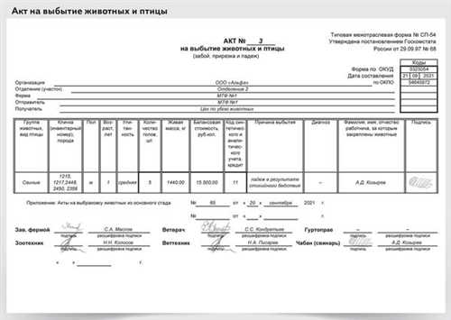 Как правильно учесть в бухгалтерии небольшое количество животных при возникновении текущих болезней