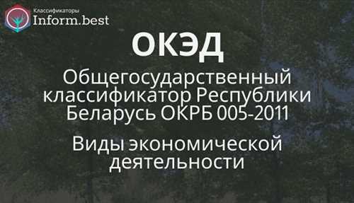 Код оквэд 6312 и его значение в развитии бизнеса